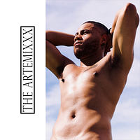 The Artemixxx avatar