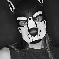 Goda Pup avatar