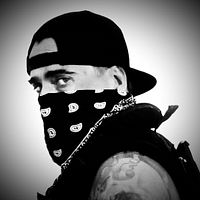 David Wild avatar