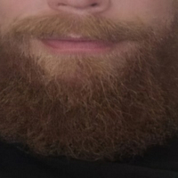Beardedviking217 avatar