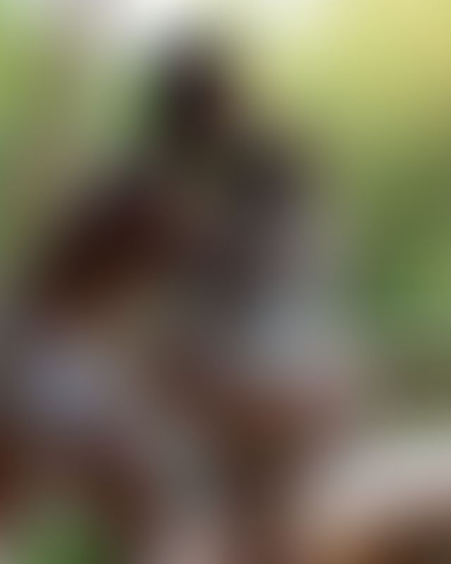 Content thumbnail
