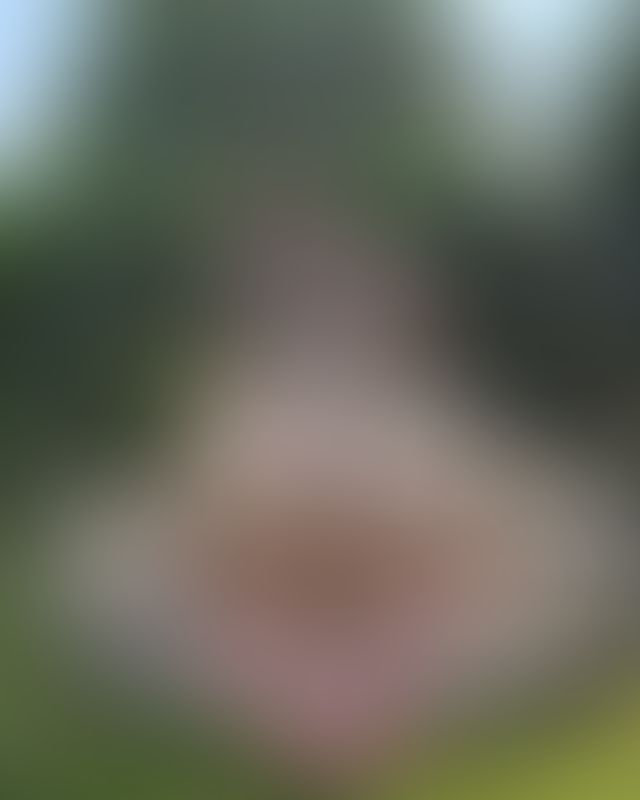 Content thumbnail