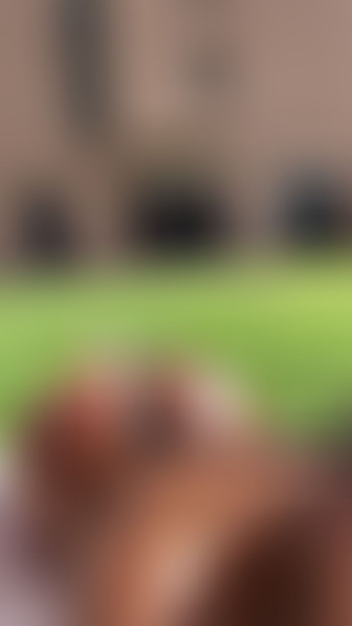 Content thumbnail