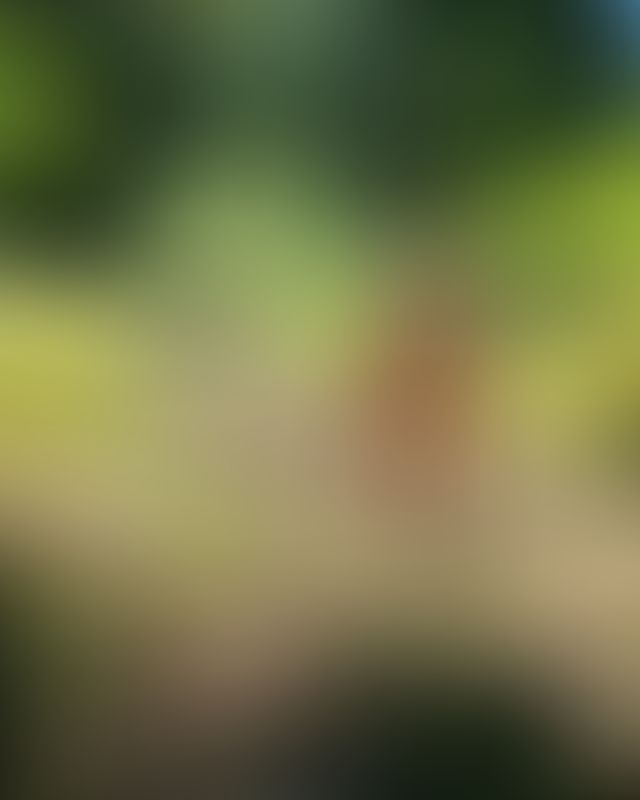 Content thumbnail