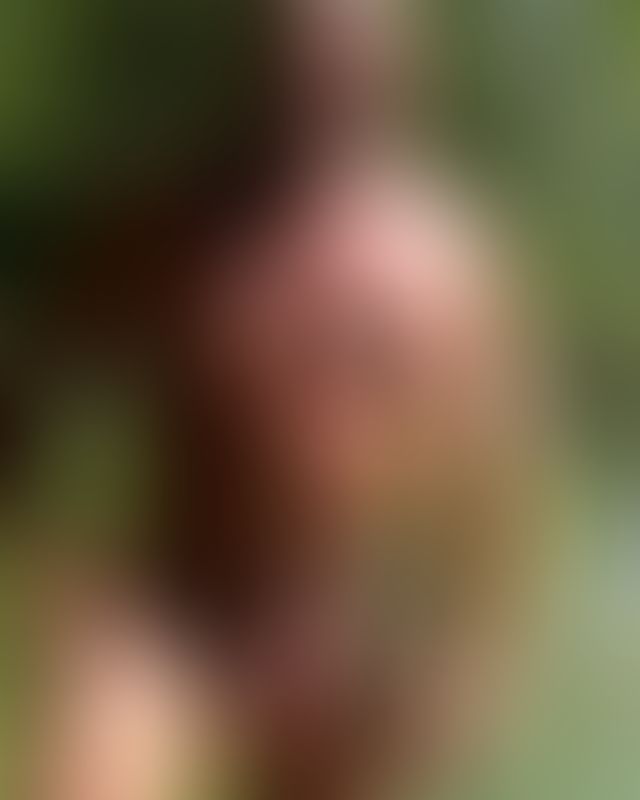 Content thumbnail