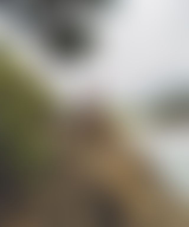 Content thumbnail