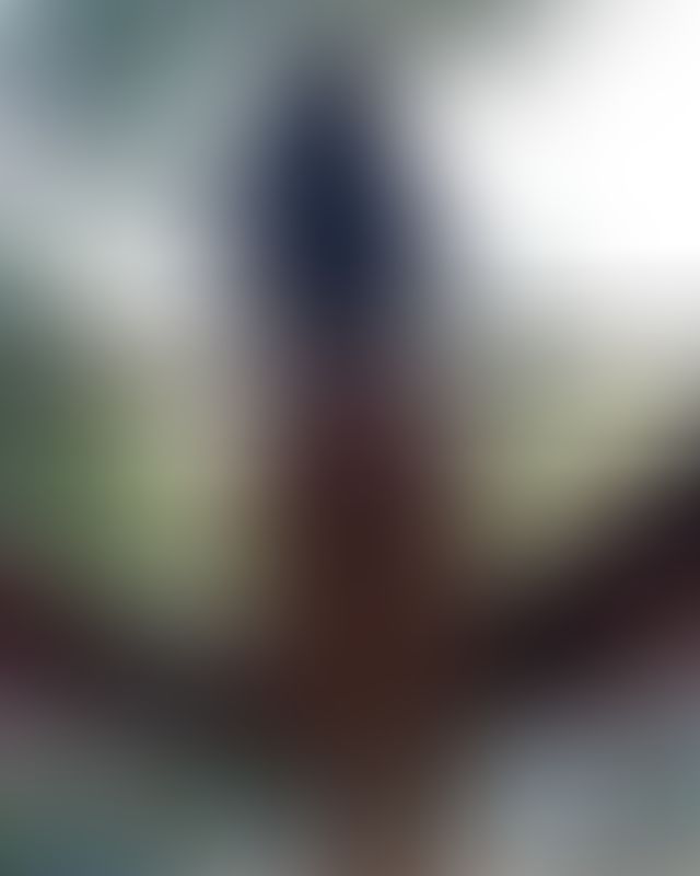 Content thumbnail