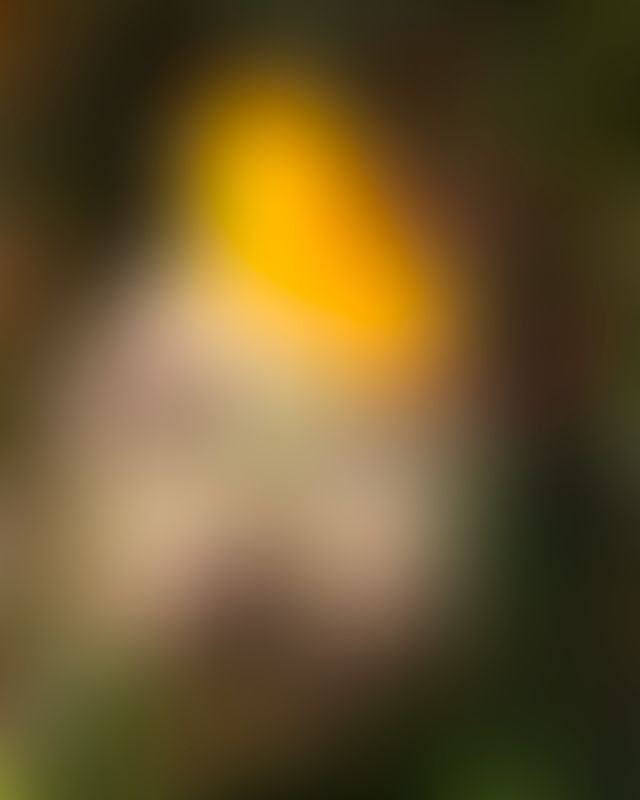 Content thumbnail