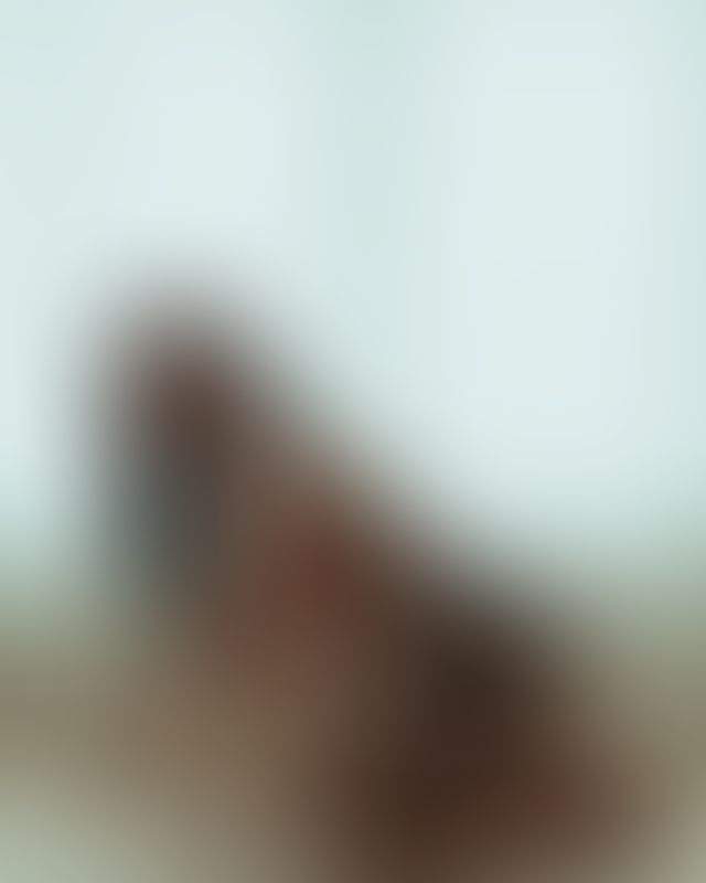 Content thumbnail