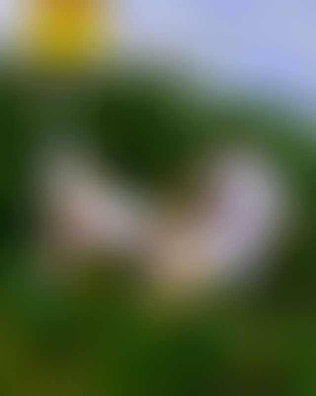 Content thumbnail