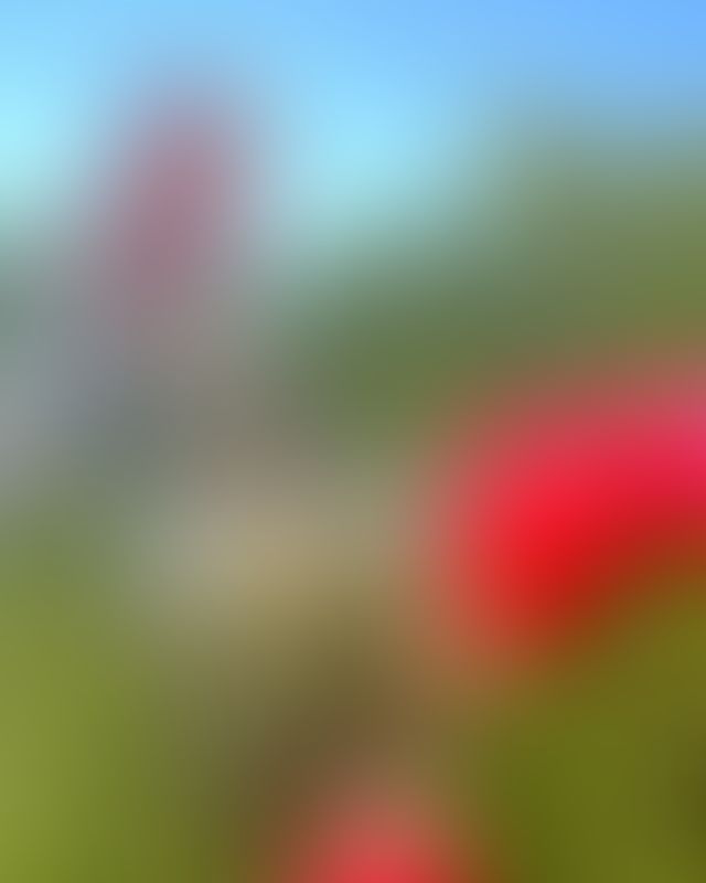 Content thumbnail