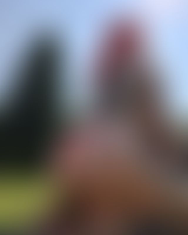 Content thumbnail