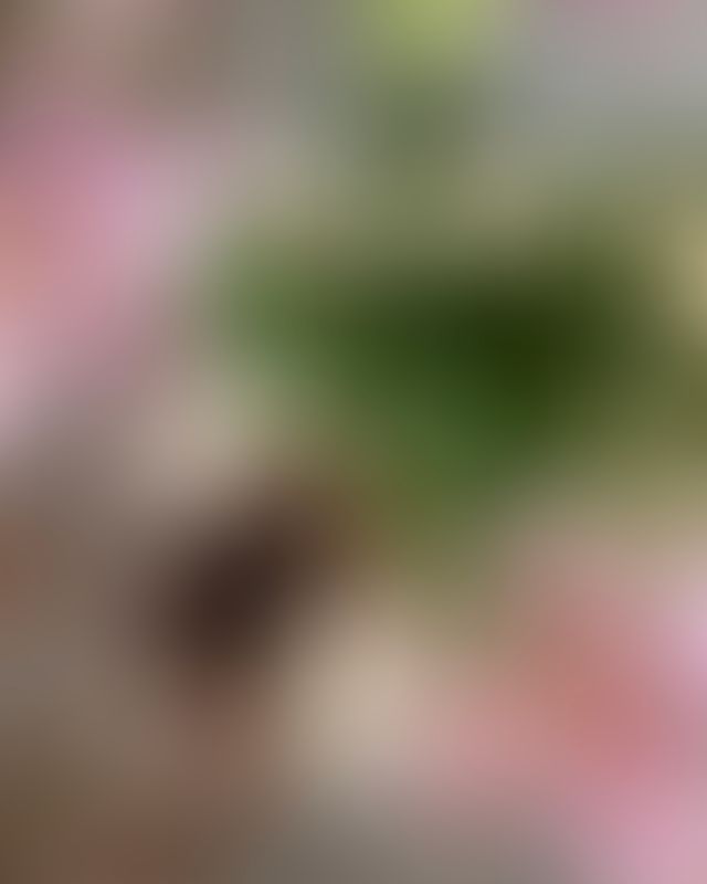 Content thumbnail