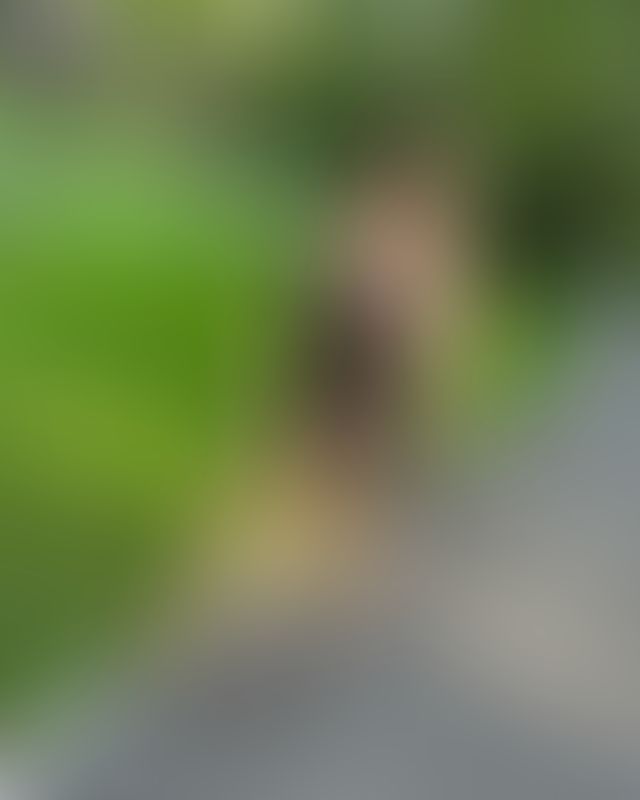 Content thumbnail