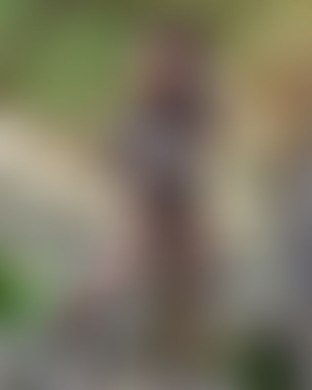 Content thumbnail