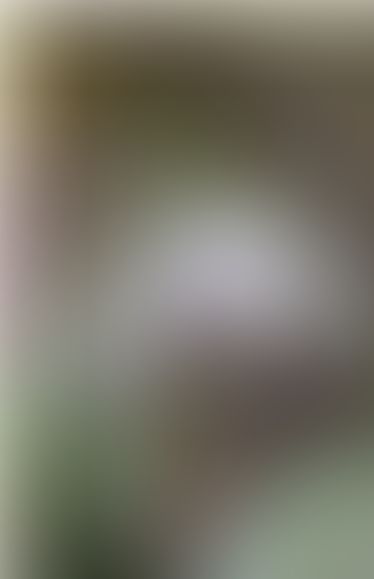 Content thumbnail