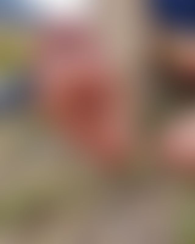 Content thumbnail