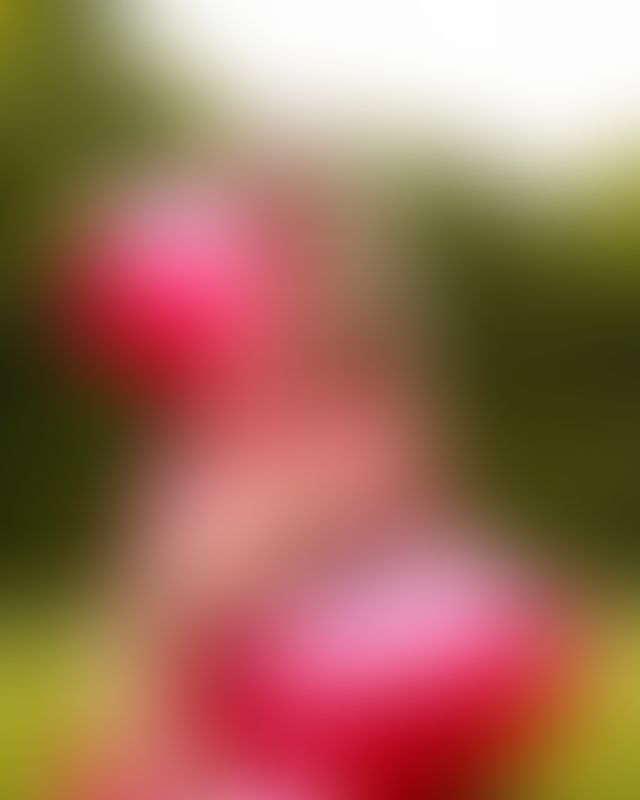Content thumbnail