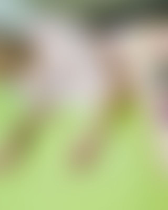 Content thumbnail