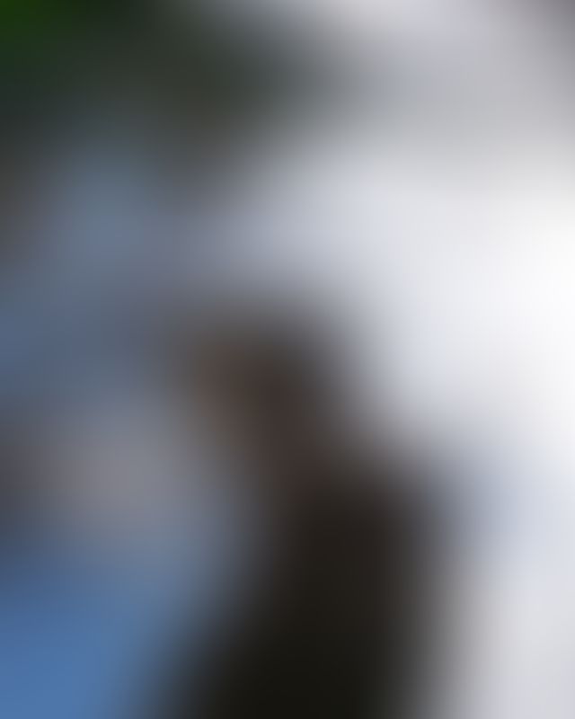 Content thumbnail
