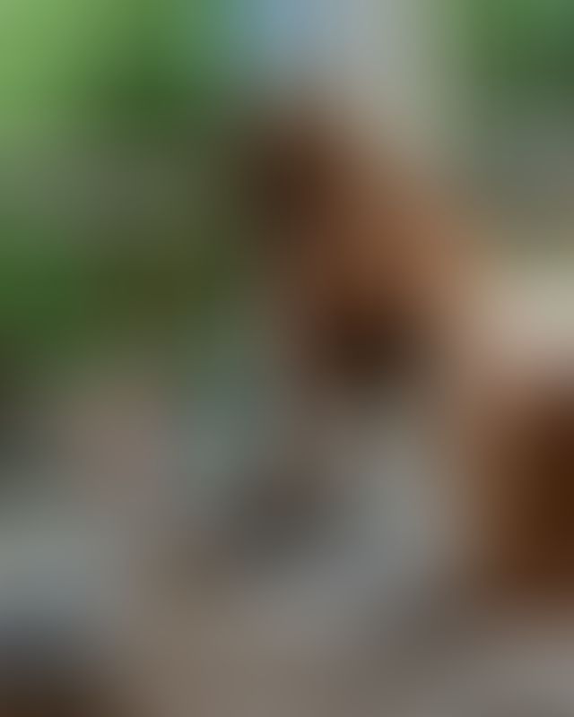 Content thumbnail