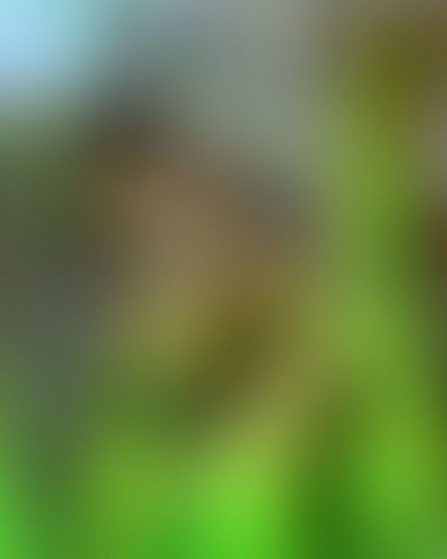 Content thumbnail