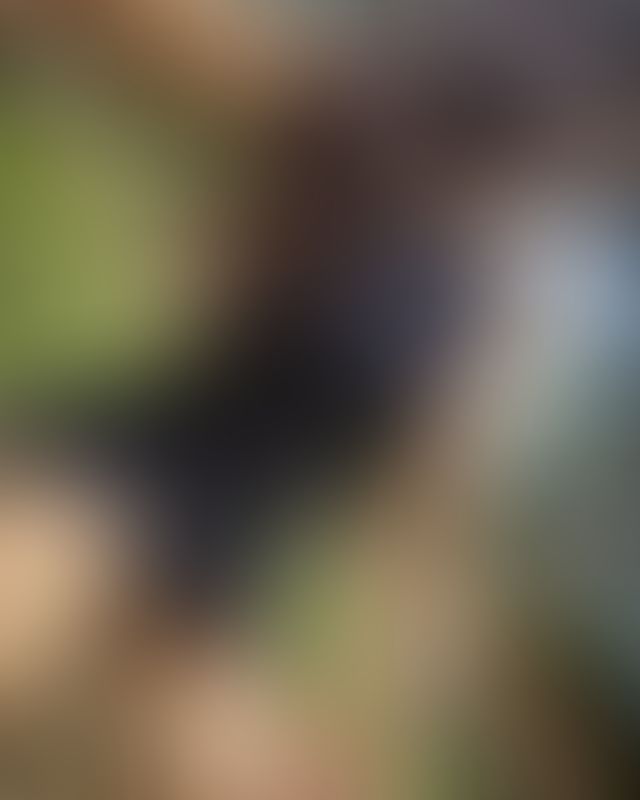 Content thumbnail