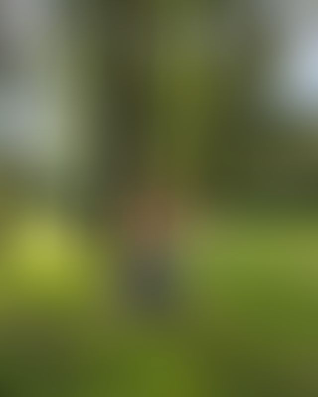 Content thumbnail