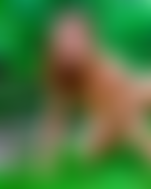 Content thumbnail