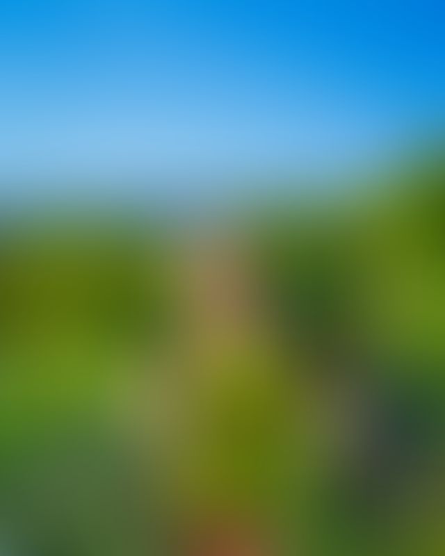 Content thumbnail