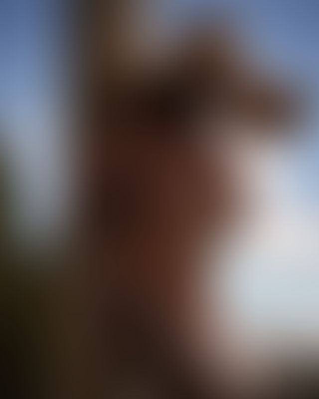 Content thumbnail