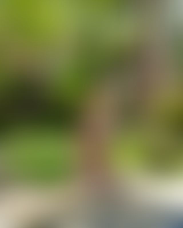 Content thumbnail