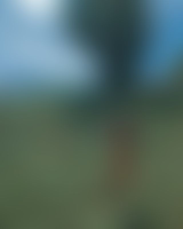 Content thumbnail