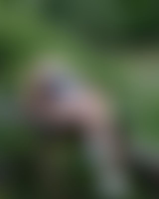 Content thumbnail