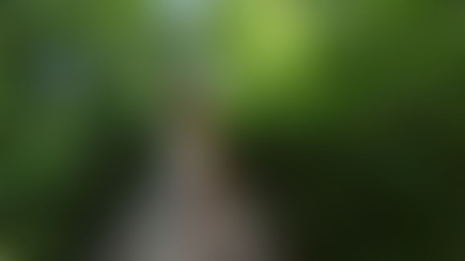 Content thumbnail