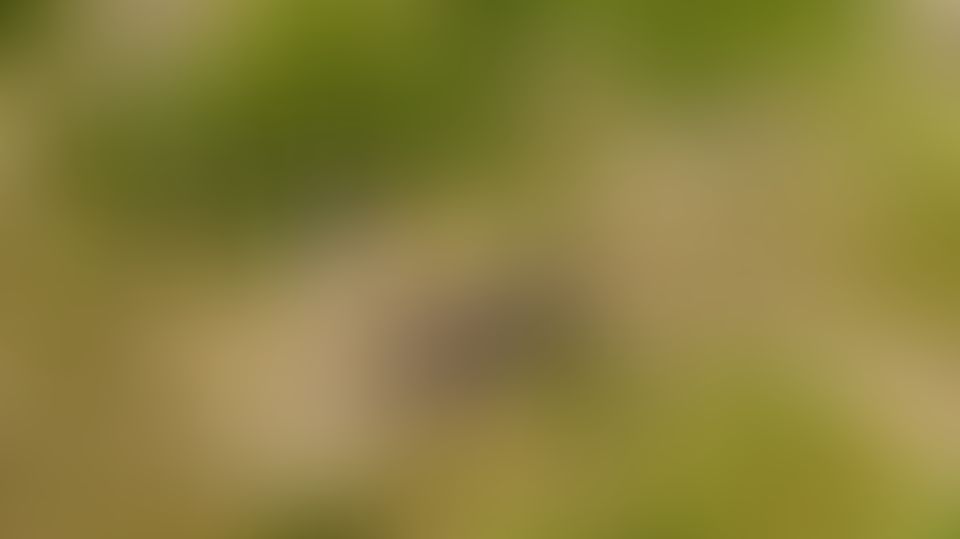 Content thumbnail