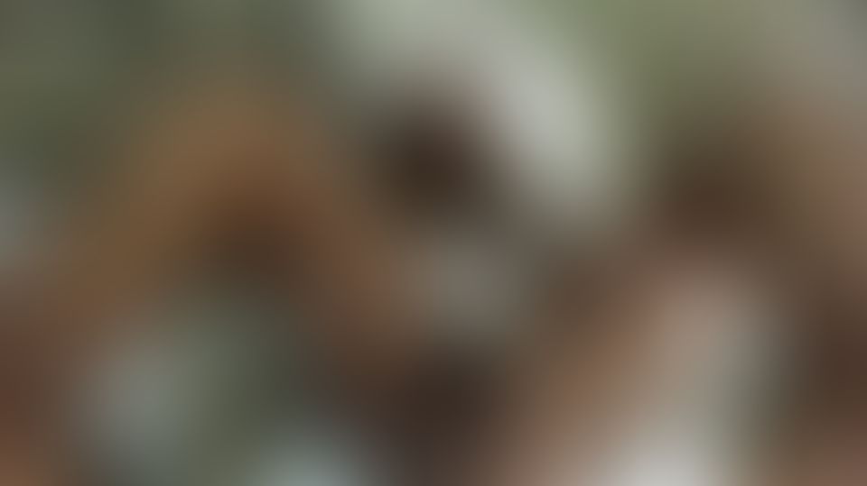 Content thumbnail
