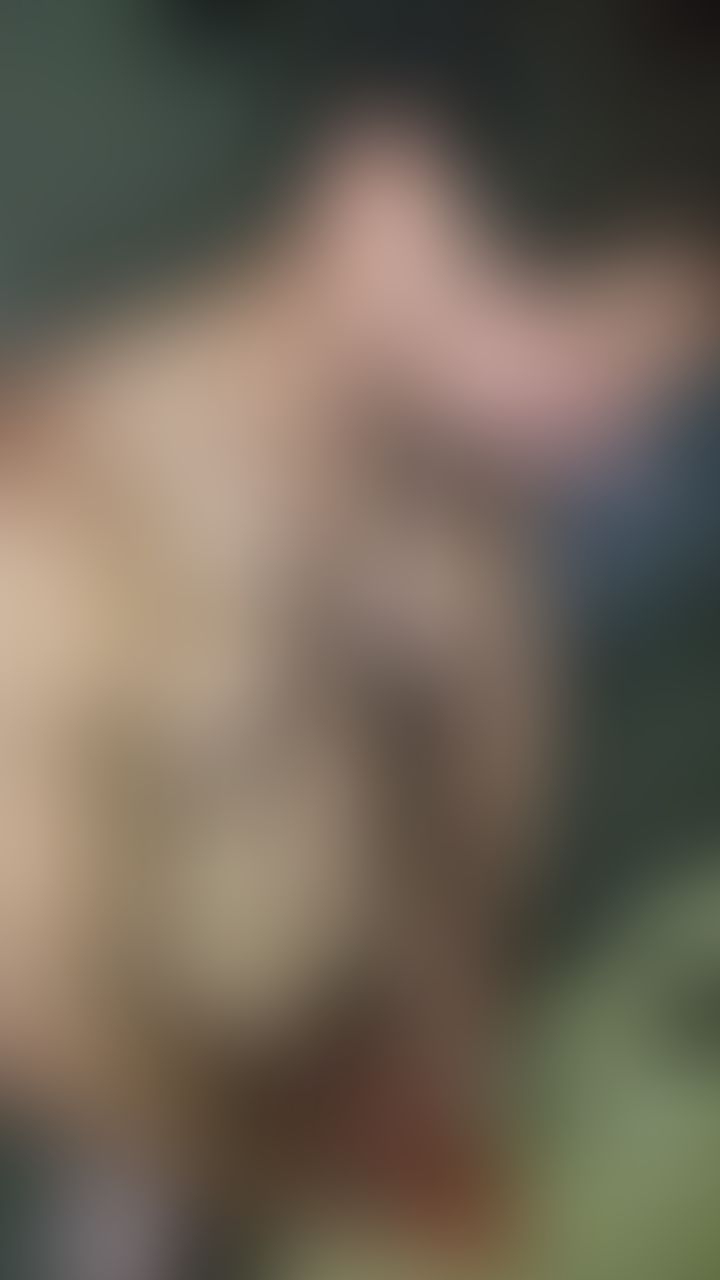 Content thumbnail